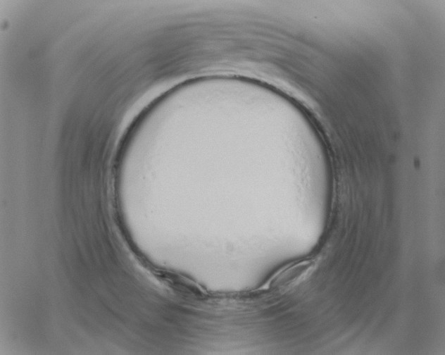 X0000062911517200602101819