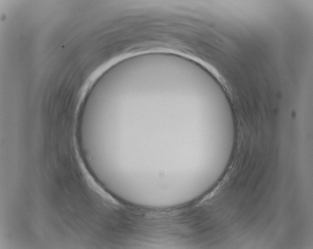 X0000062911518200602101819