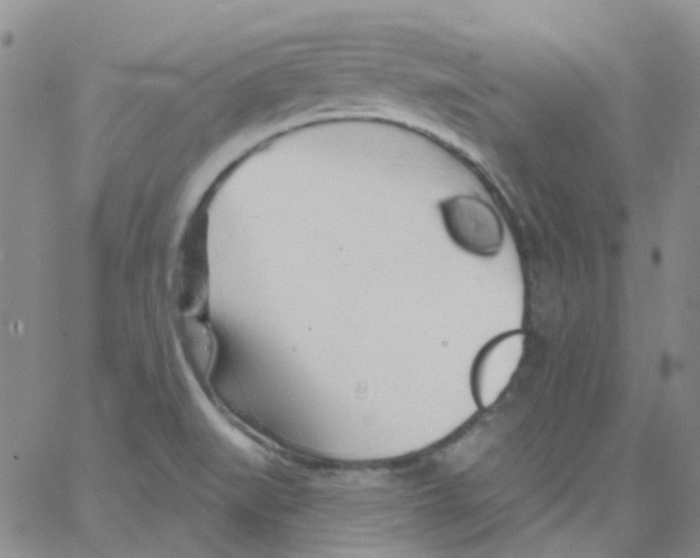 X0000062911519200602101819