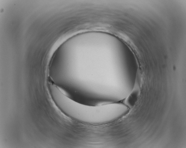 X0000062911520200602101819