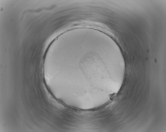 X0000062911522200602101819