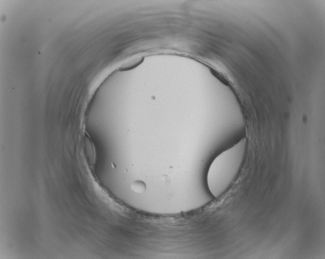 X0000062911524200602101819