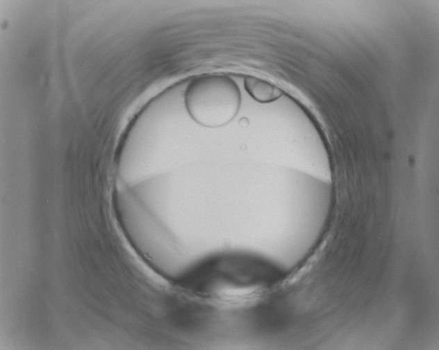 X0000062911525200602101819