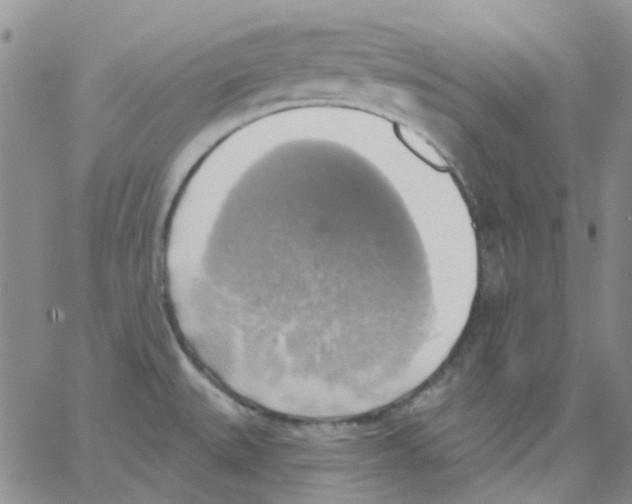 X0000062911527200602101819