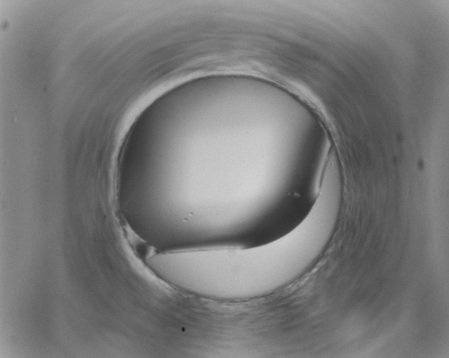 X0000062911528200602101819