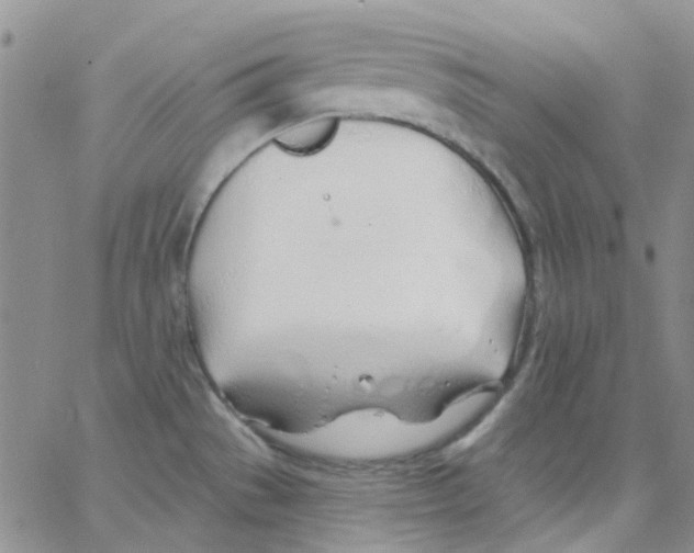 X0000062911529200602101819