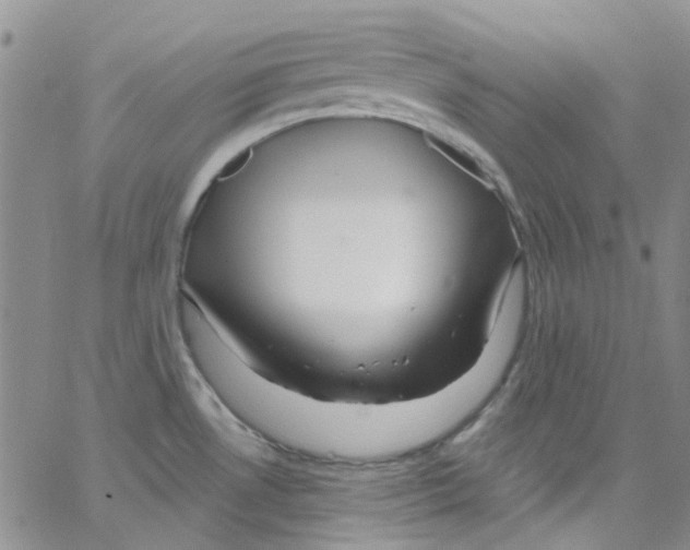 X0000062911530200602101819