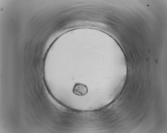 X0000062911531200602101819