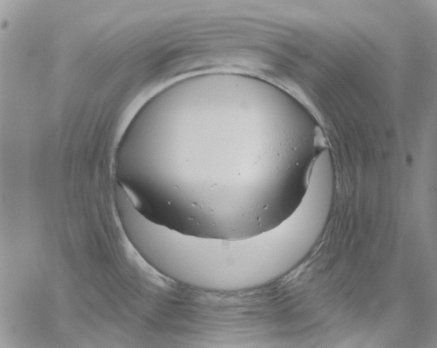 X0000062911532200602101819