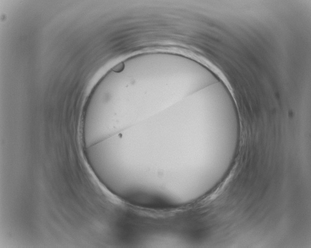 X0000062911533200602101819