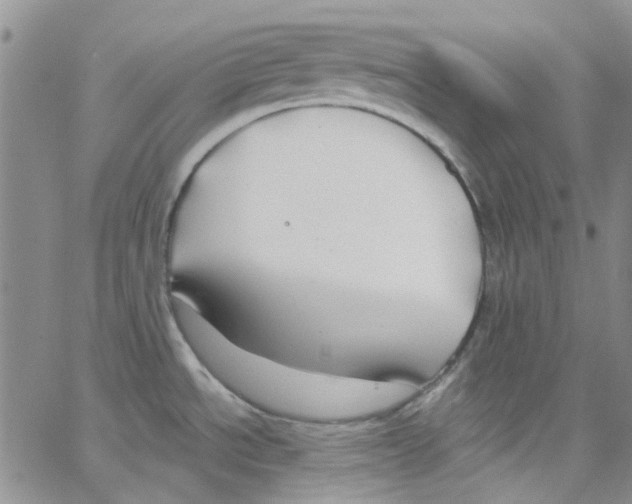 X0000062911534200602101819