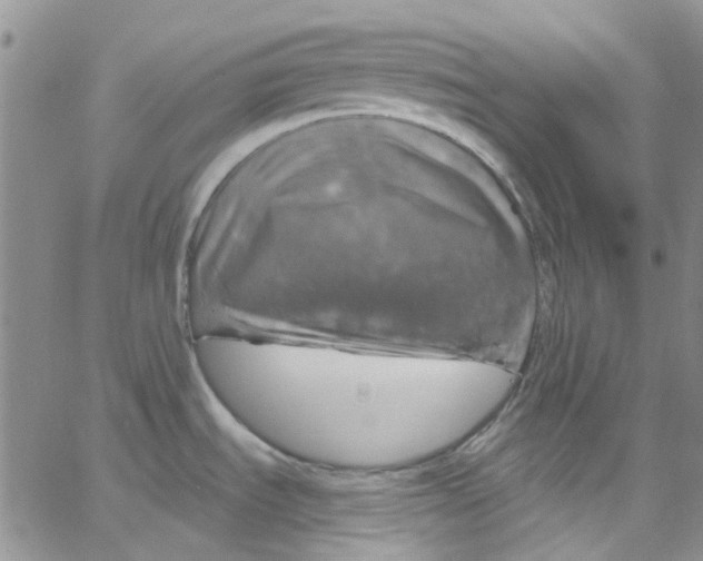 X0000062911535200602101819