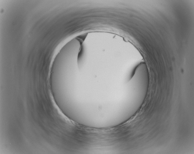 X0000062911536200602101819