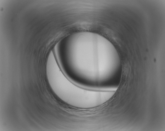 X0000062920027200601131144