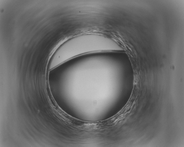 X0000062920052200601131142