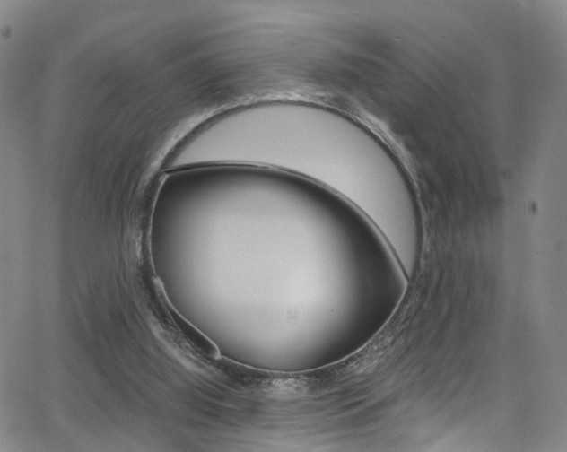 X0000062920060200601131143