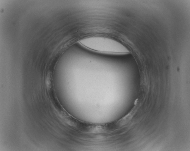 X0000062920074200601131143
