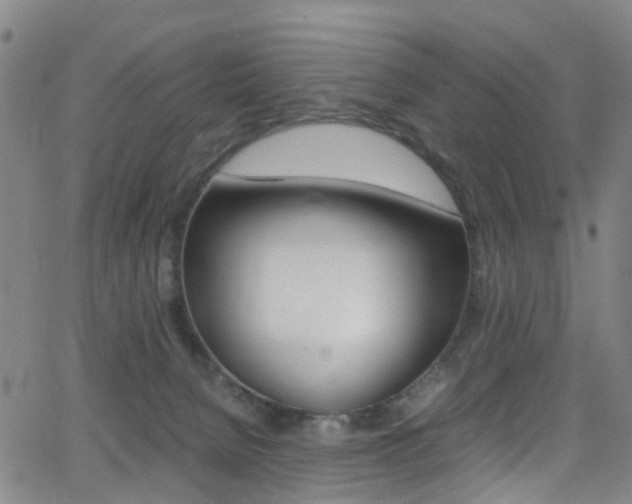 X0000062920080200601131143