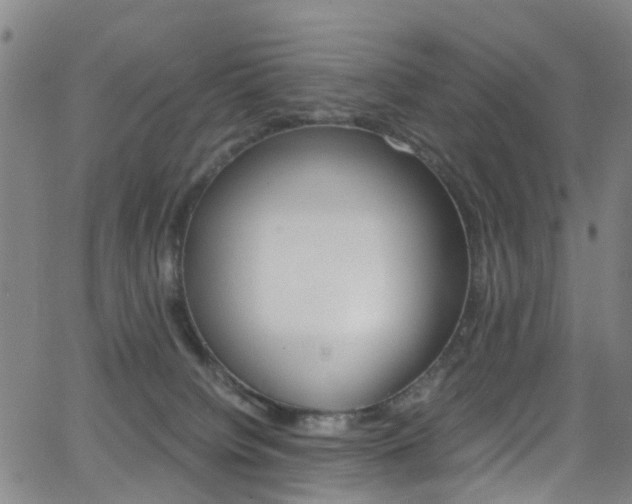 X0000062920084200601131143