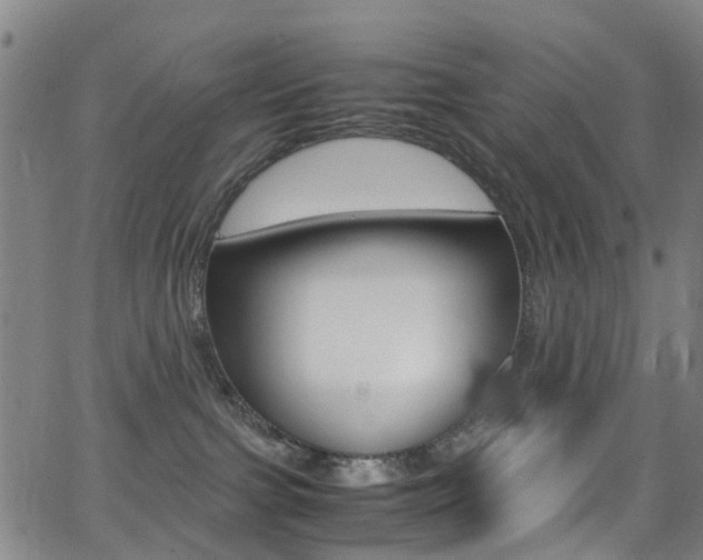 X0000062920091200601131143