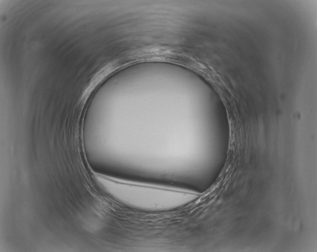 X0000062920099200601131142
