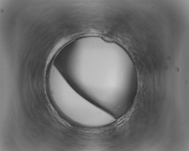 X0000062920102200601131142