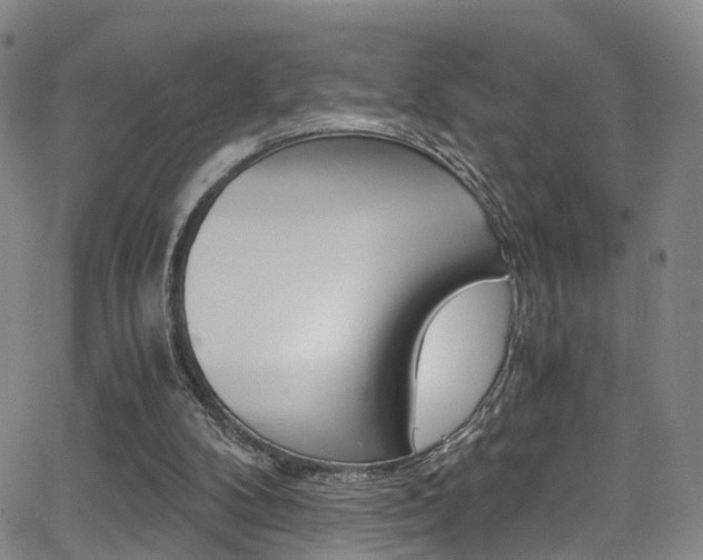 X0000062920104200601131142
