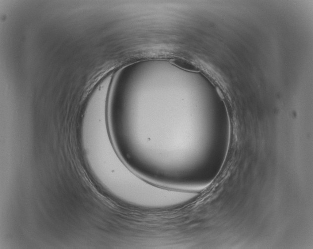 X0000062920105200601131142