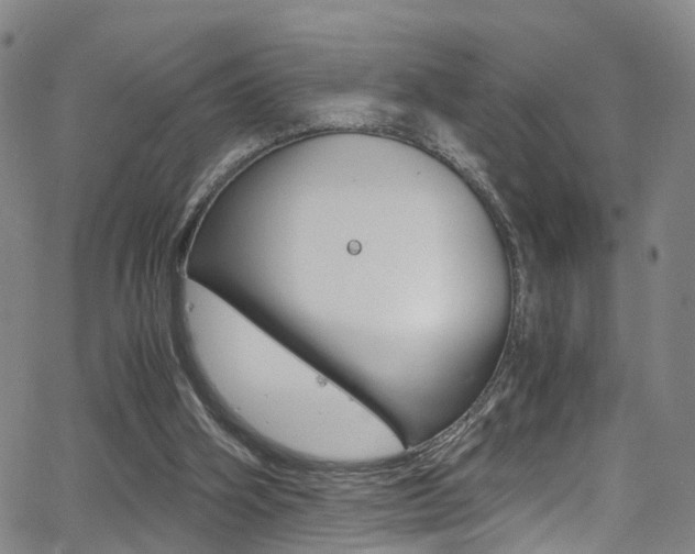 X0000062920106200601131142