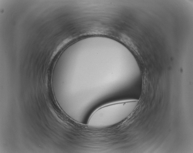 X0000062920108200601131142