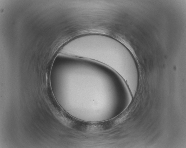 X0000062920109200601131142