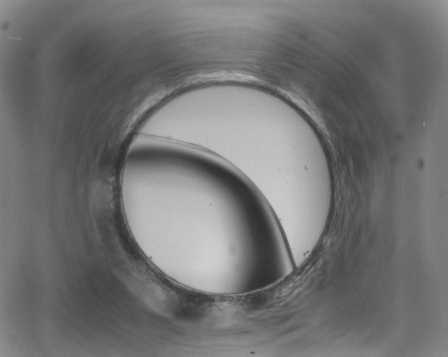 X0000062920111200601131142