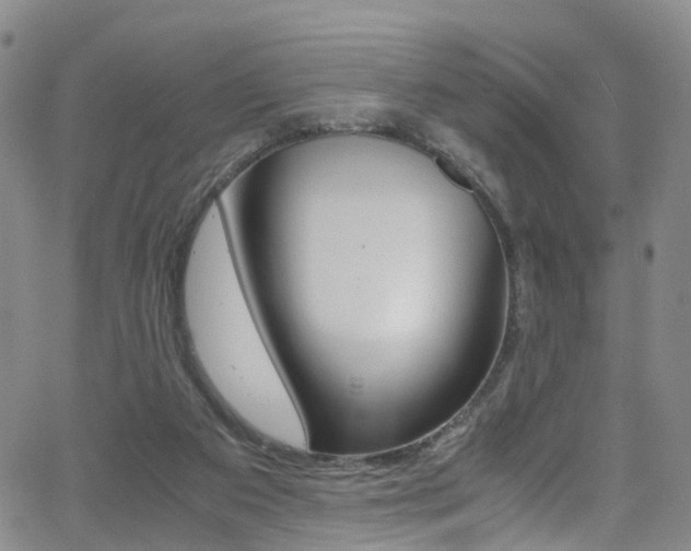 X0000062920113200601131142