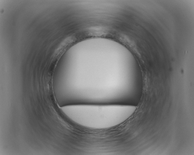 X0000062920114200601131142