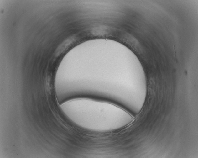 X0000062920116200601131142