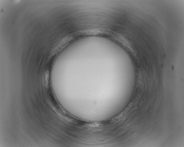 X0000062920118200601131142
