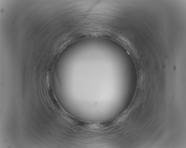 X0000062920121200601131142