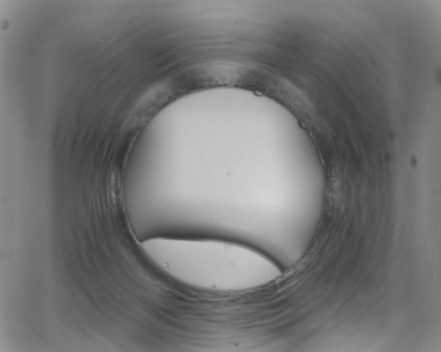 X0000062920122200601131142