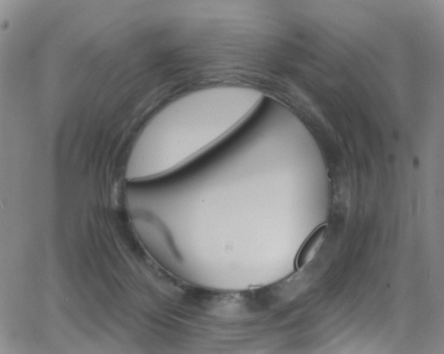 X0000062920124200601131142