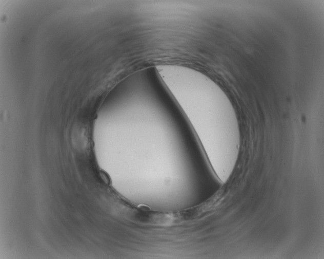 X0000062920131200601131142