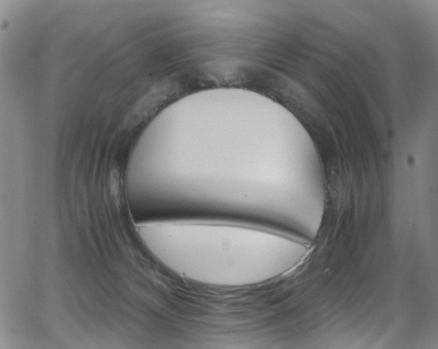X0000062920132200601131142
