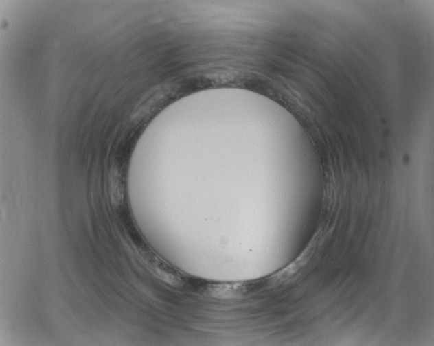 X0000062920136200601131142