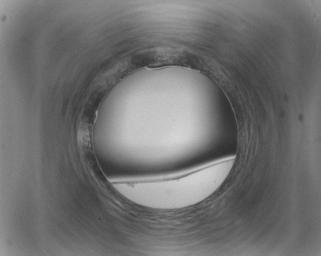 X0000062920137200601131142