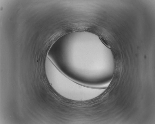 X0000062920143200601131142