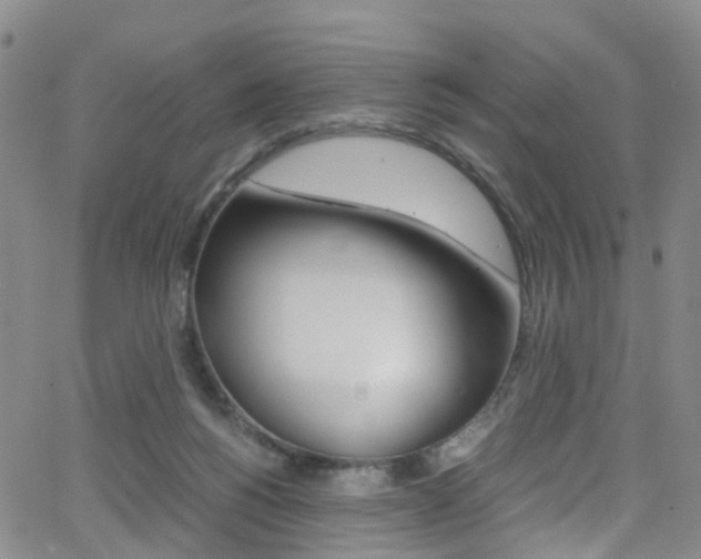 X0000062920168200601131141