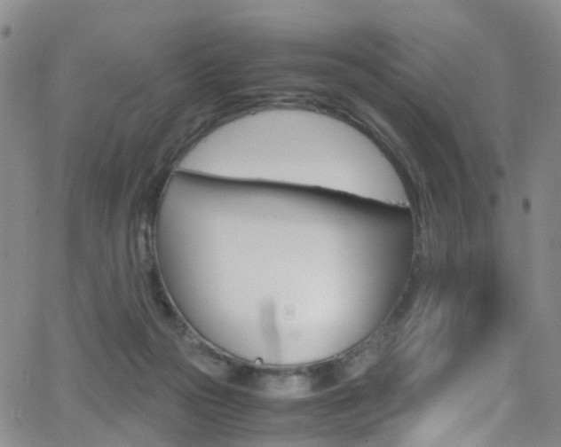 X0000062920169200601131141