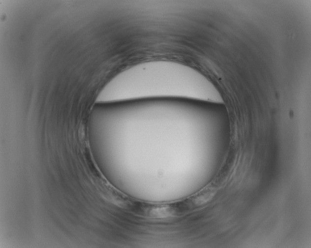 X0000062920173200601131141