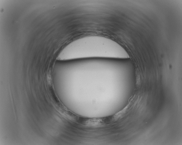 X0000062920179200601131141