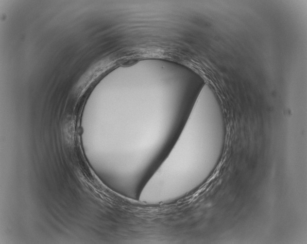 X0000062920194200601131141