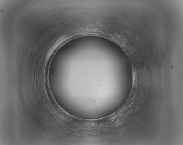 X0000062920195200601131141